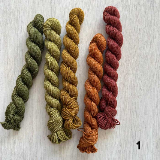 MARDI -  Bundle of Mini Skeins
